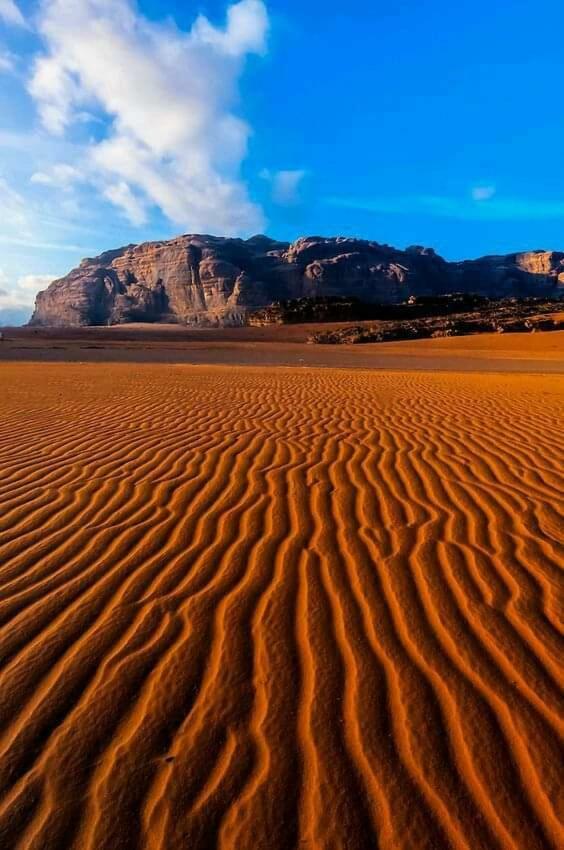 Wadi Rum Bedouin House Экстерьер фото