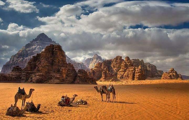 Wadi Rum Bedouin House Экстерьер фото